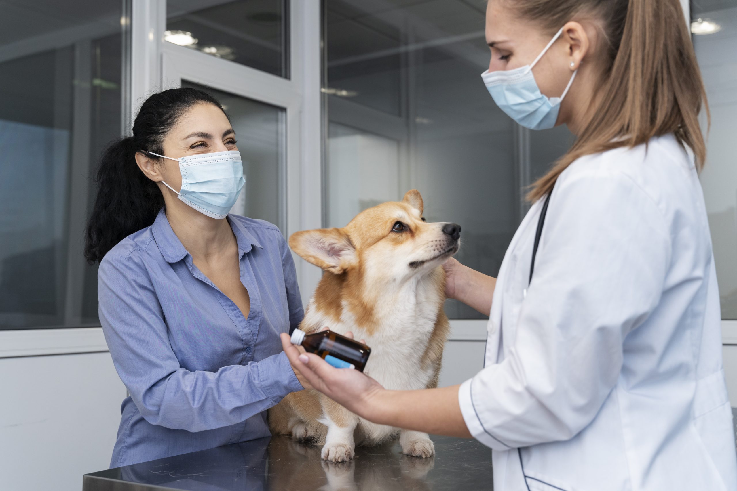Veterinary Credit Card Processing Fees