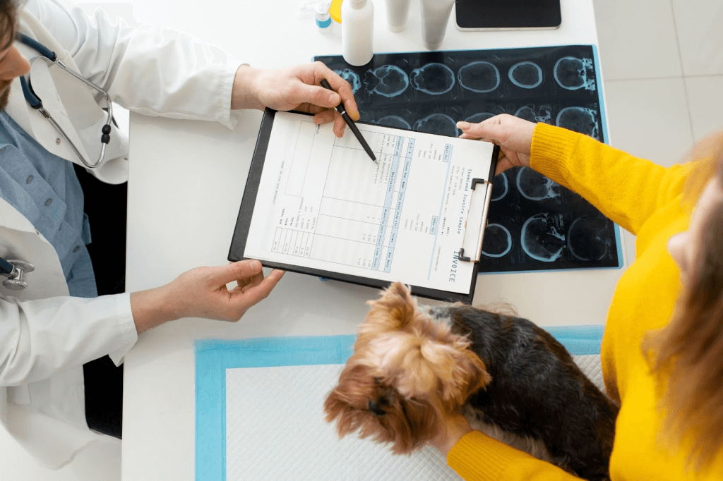 Payment Options For Veterinary Care