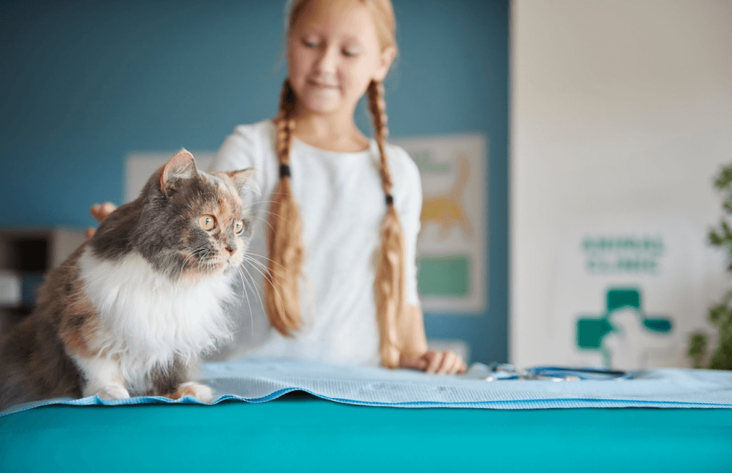 Reduce No-Shows at Your Veterinary Practice